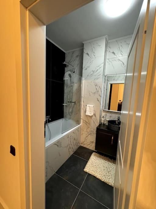 Apartment One Bedroom Flat Near Vivo Cluj-Napoca