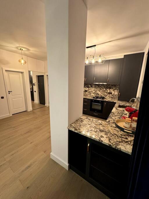 One Bedroom Flat Near Vivo Apartment Cluj-Napoca